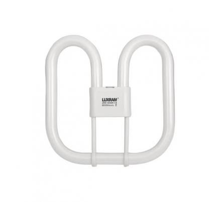 Bombilla 2d Gr10q 4 Pinos 16 W 4000k Blanca