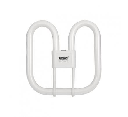 Bombilla 2d Gr10q 4 Pinos 28w 4000k Blanca