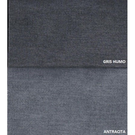 Sofá Cama Topo